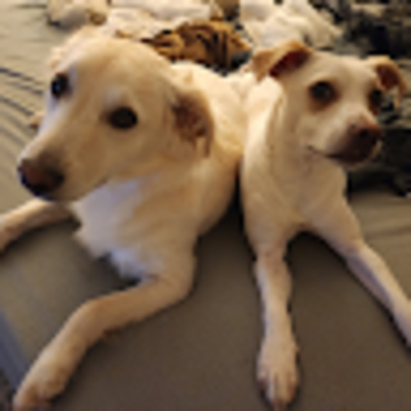 Meet your Posher, Christine - Picture 1 of 1